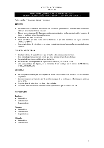 tema-11-cirugia.pdf