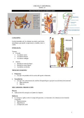Tema-18-cirugia.pdf