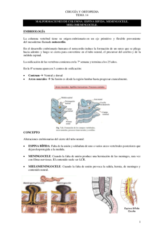 Tema-14-cirugia.pdf