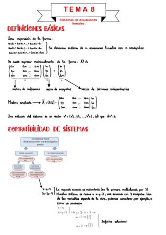 Apuntes-Tema-8.pdf
