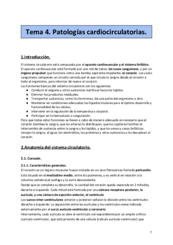 Sistema-cardiovascular.pdf