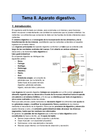 Aparato-digestivo.pdf