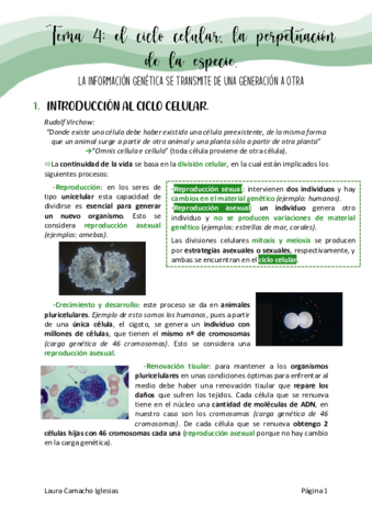 tema4biologiadefinitivo.pdf