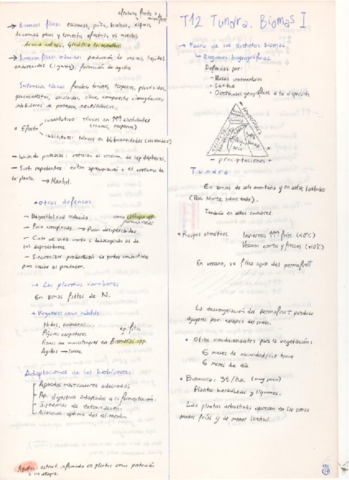 Apuntes-T11-T21-FAU-2.pdf