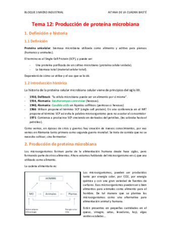 TEMA-12.pdf