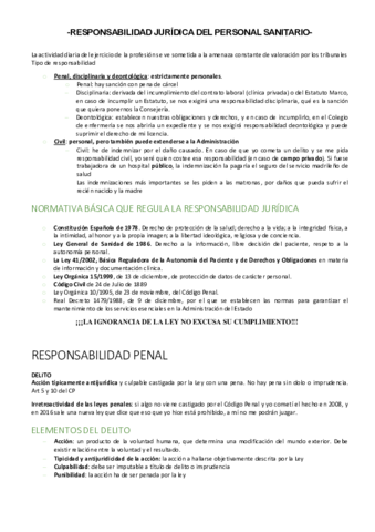 Responsabilidad-juridica.pdf