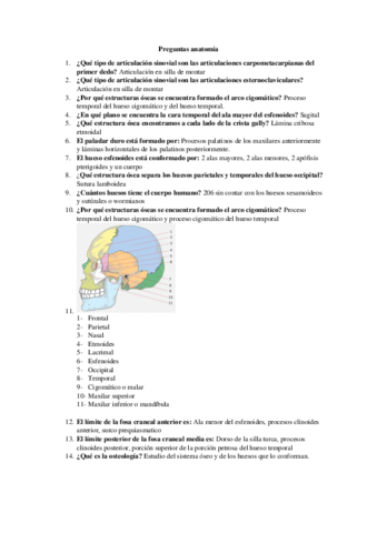 Preguntas-anatomia.pdf