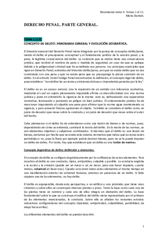 Derecho-Penal.pdf