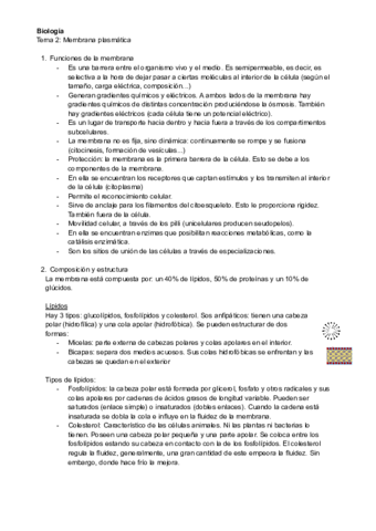 Tema-2-Membrana.pdf
