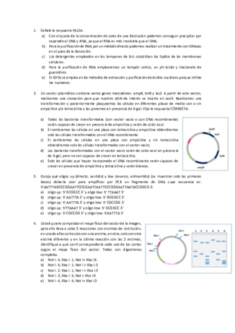 Examen-3er-Parcial-BQII.pdf