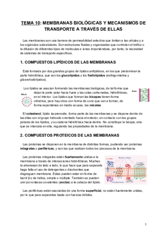 Tema-10-BQE.pdf