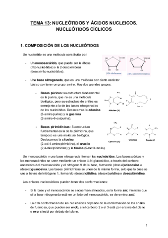 Tema-13-BQE.pdf