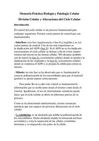 Memoria-Practica-Division-Celular-y-Alteraciones-Ciclo-Celular.pdf