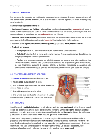 UT-6-Rec-manifestaciones-enf-IV-Urinario-Apuntes-2020.pdf