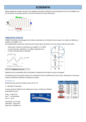 ECOGRAFIA.pdf