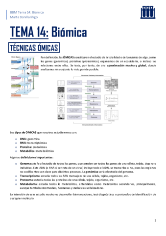 BBM-resumen-tema-14.pdf