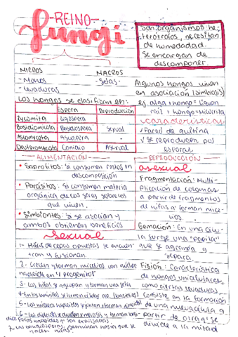 CamScanner-05-17-2021-11.pdf