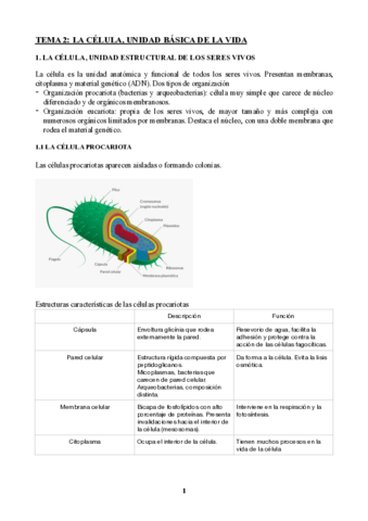 La-celula.pdf