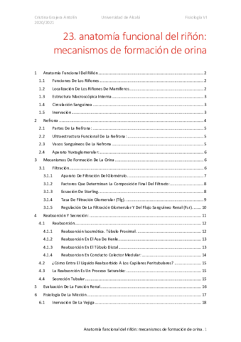 FISIO-23-anatomia-funcional-del-rinon-mecanismos-de-formacion-de-orina.pdf