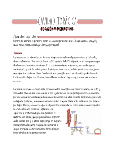 Modulo-07-Cavidad-toracica.pdf
