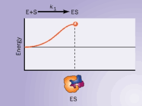 Enzima-Energia-de-Activacion-L.mov