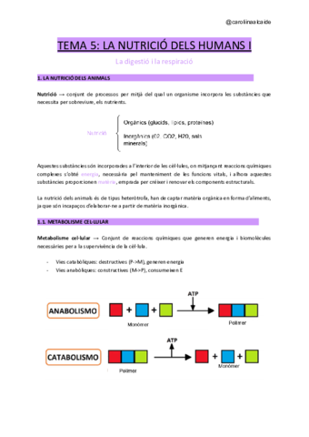 Tema-5-La-nutricio-dels-animals-I.pdf