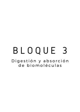 BLOQUE-3.pdf