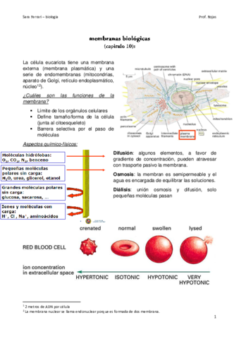 biologia.pdf