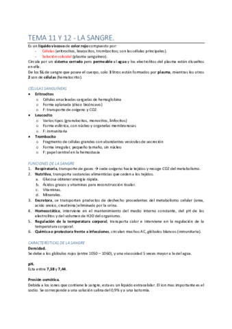 TEMA-11-12-Y-13.pdf