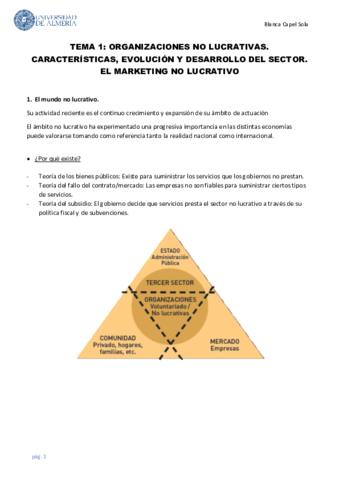 TEMA-1-9-extensos.pdf