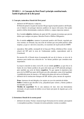 Preguntas-parcial-penal-respondidas.pdf