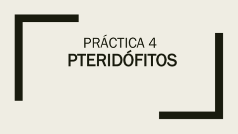 Practica-4-HELECHOS.pdf