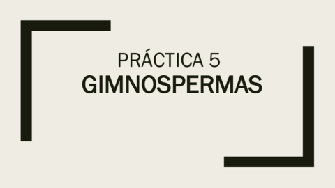 Practica-5-GIMNOSPERMAS.pdf