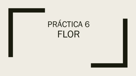 Practica-6-FLOR.pdf