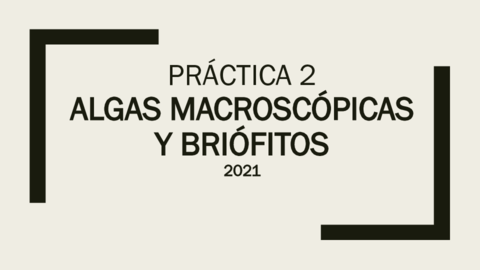 PRATICA-2-ALGAS-MACROSCOP.pdf