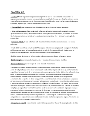 EXAMEN.pdf