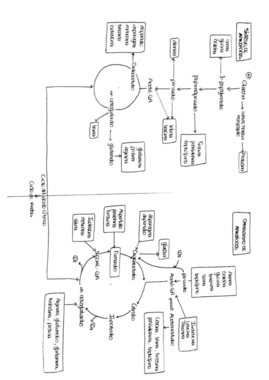 RELACIÓN DE RUTAS.pdf