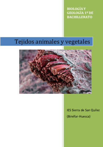 TEJIDOS-VEGETALES-Y-ANIMALES.pdf