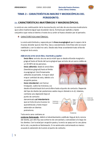 TEMA-2-Caracteristicas-macroscopicas-y-microscopicas-del-periodonto.pdf