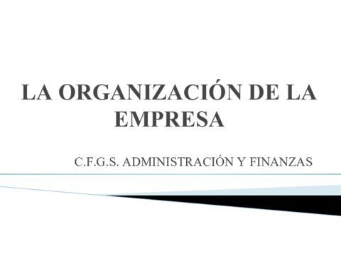 Organizacion-de-Empresa.pdf