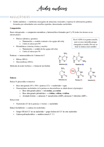 apuntes-biologia-molecular.pdf