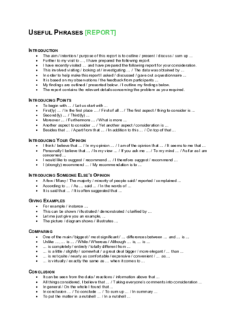UsefulPhrasesReport.pdf