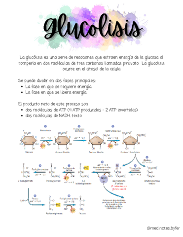 Glucolisis.pdf