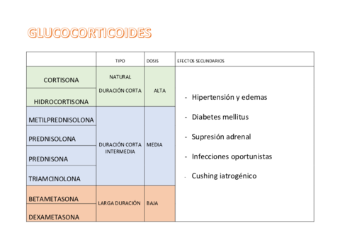 GLUCOCORTICOIDES-.pdf