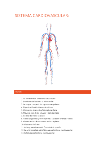 SISTEMA-CARDIOVASCULAR.pdf