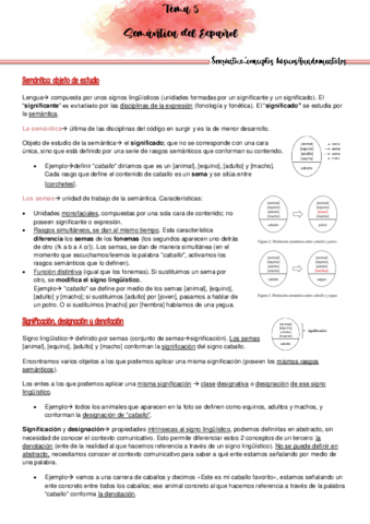 Tema-5-semantica.pdf