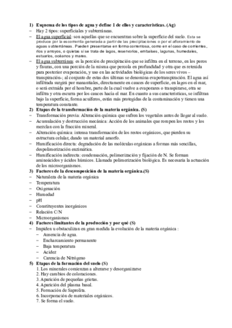 preguntas examen.pdf