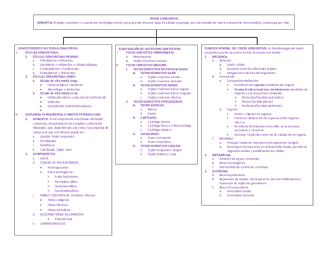 TEJIDO-CONJUNTIVO.pdf