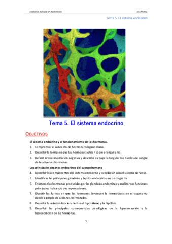 Anat-09Endocrinotema1.pdf