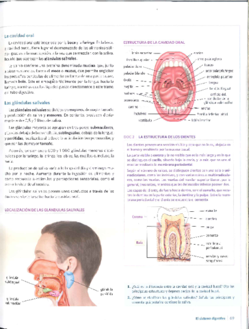 APARATO-DIGESTIVO-Anatomia-aplicada.pdf